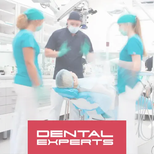 website dental experts